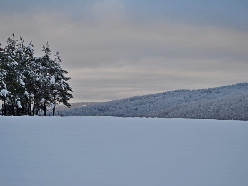on-the-outside-25