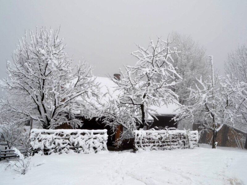 on-the-outside-52