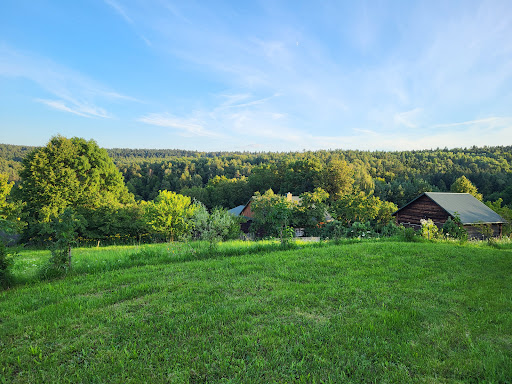 Photo from customer review