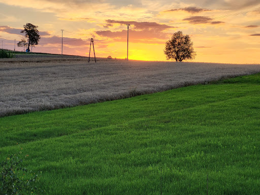 Photo from customer review