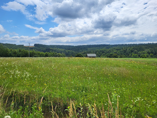 Photo from customer review