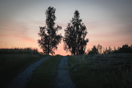 Photo from customer review