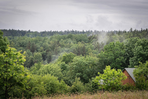 Photo from customer review