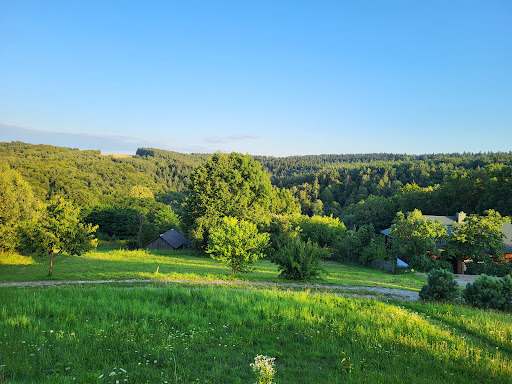 Photo from customer review